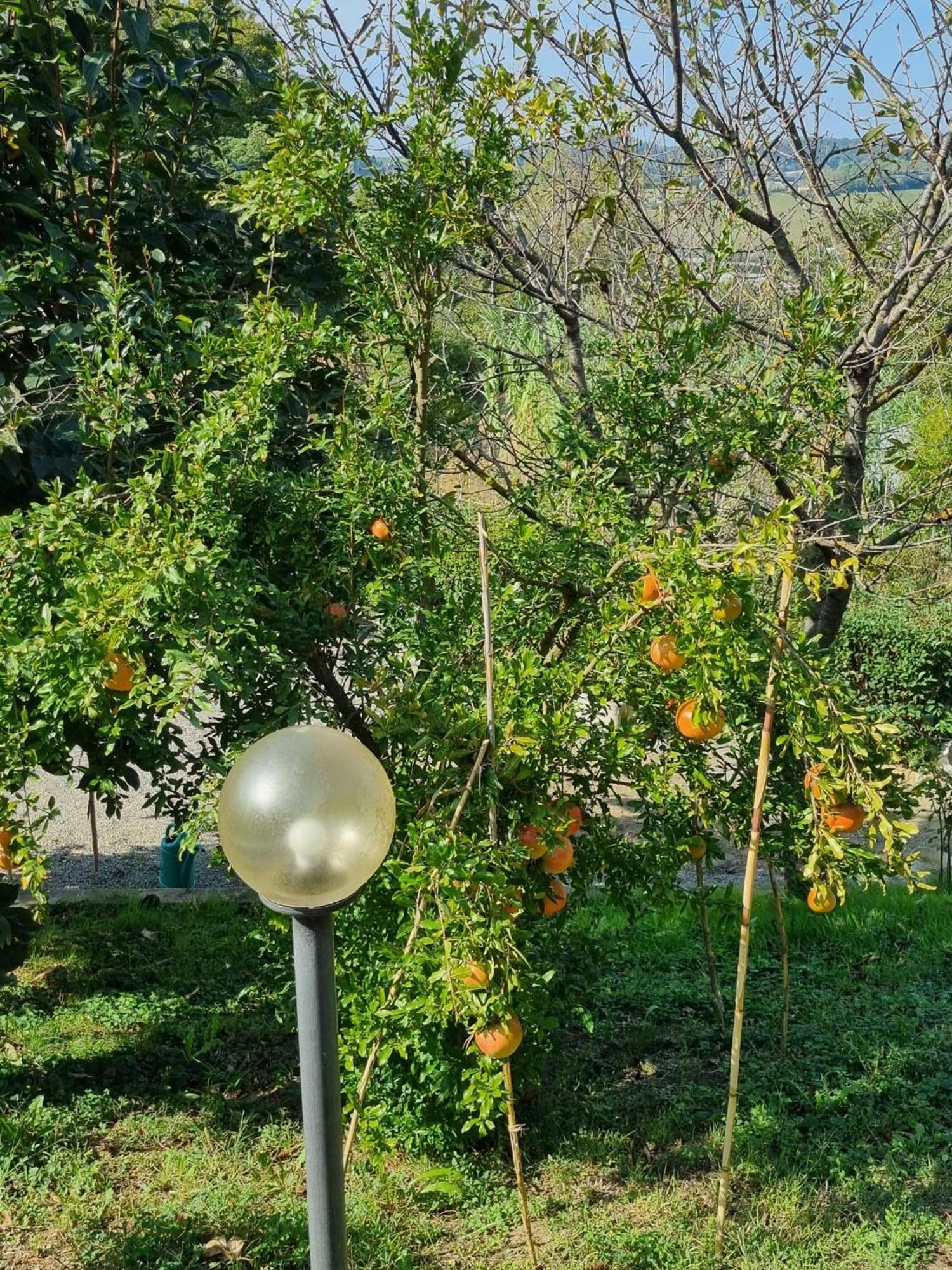 Casa Imola Διαμέρισμα Poggibonsi Εξωτερικό φωτογραφία